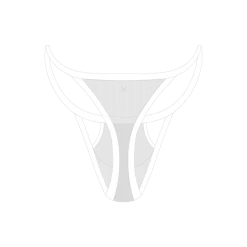 Boutine LA White Mesh Peep Thong Panty