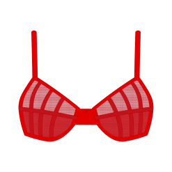 Boutine LA Red Mesh Peep Bralette