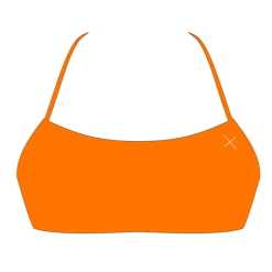 Boutine LA Wild Orange Halter Top